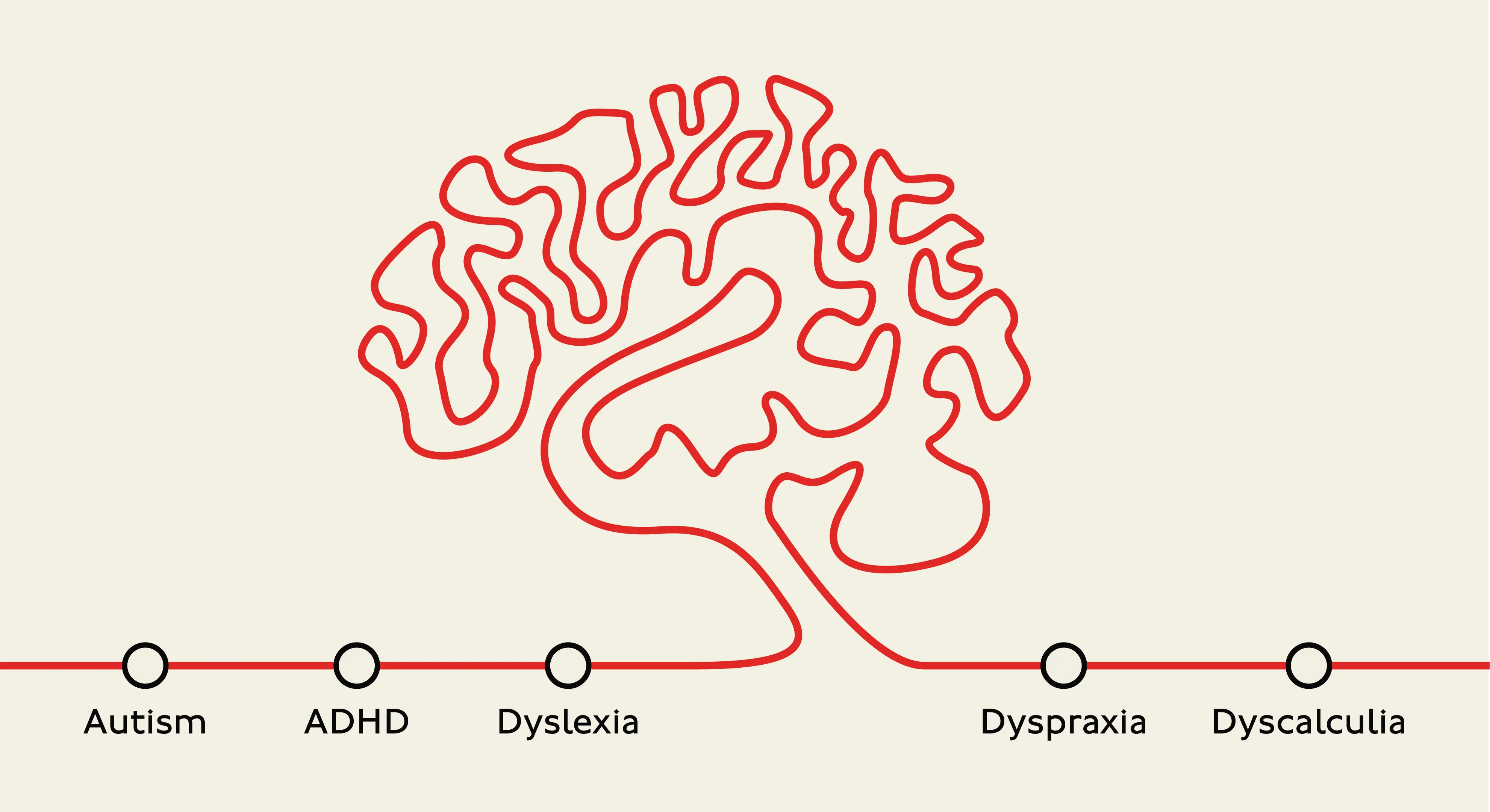 Neuroinclusion article